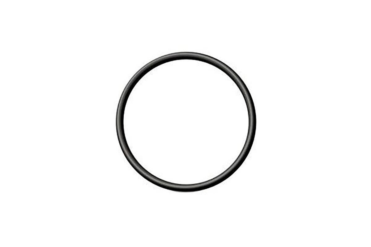 o-ring-2-025-rf-344-1541100841499.jpg