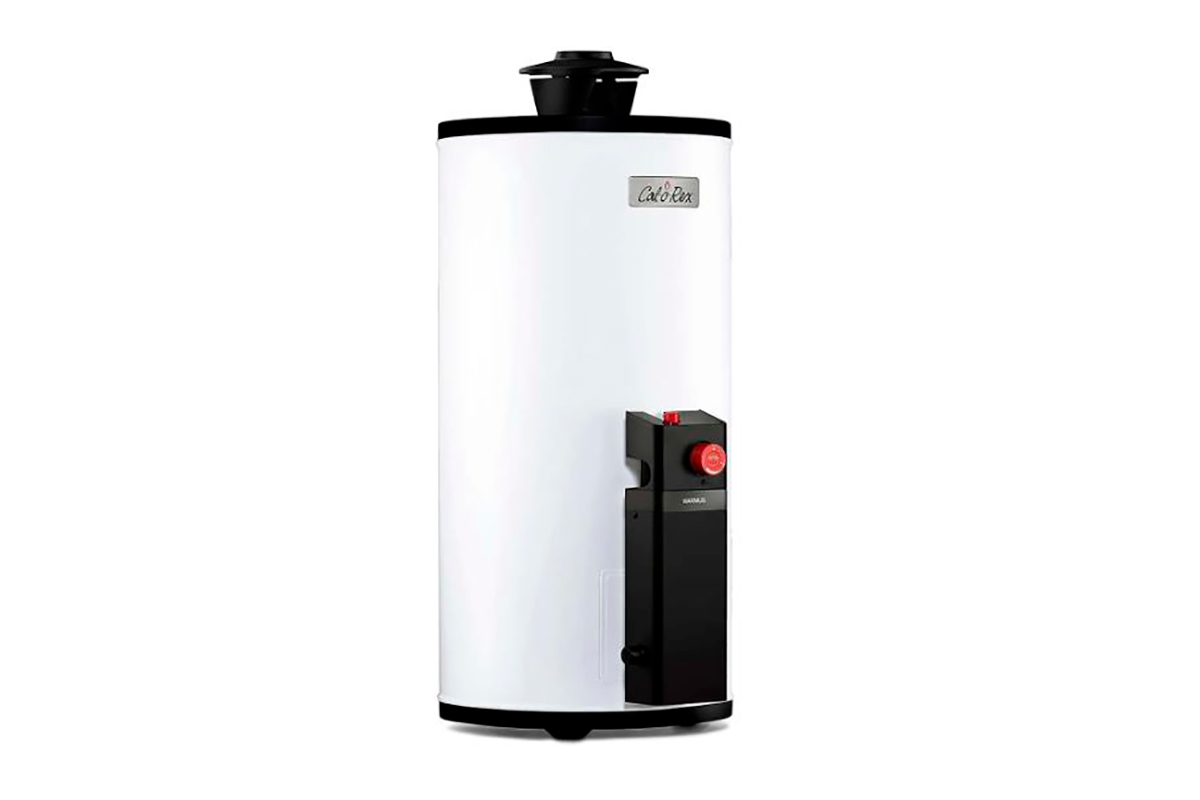 Calentador Maximus G10, gas LP, 1 servicios