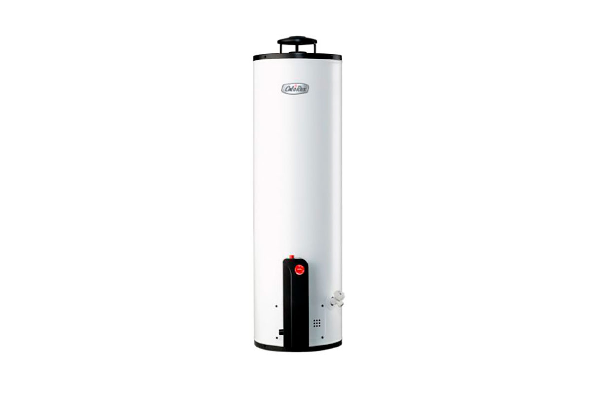 Calentador maximus G20, gas LP, 2 servicios