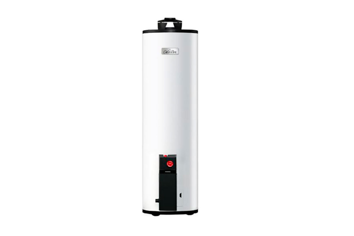 Calentador maximus G30, gas LP, 3 servicios