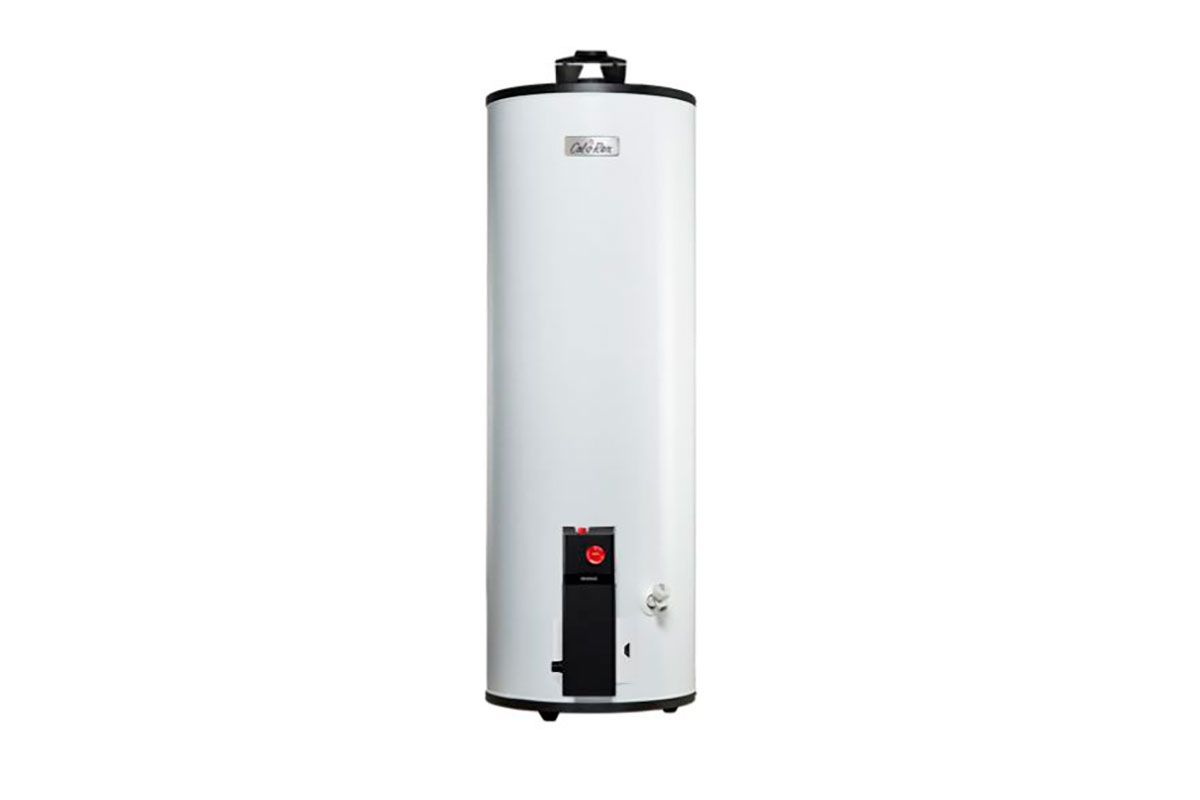 Calentador maximus G60, gas LP, 6 servicios