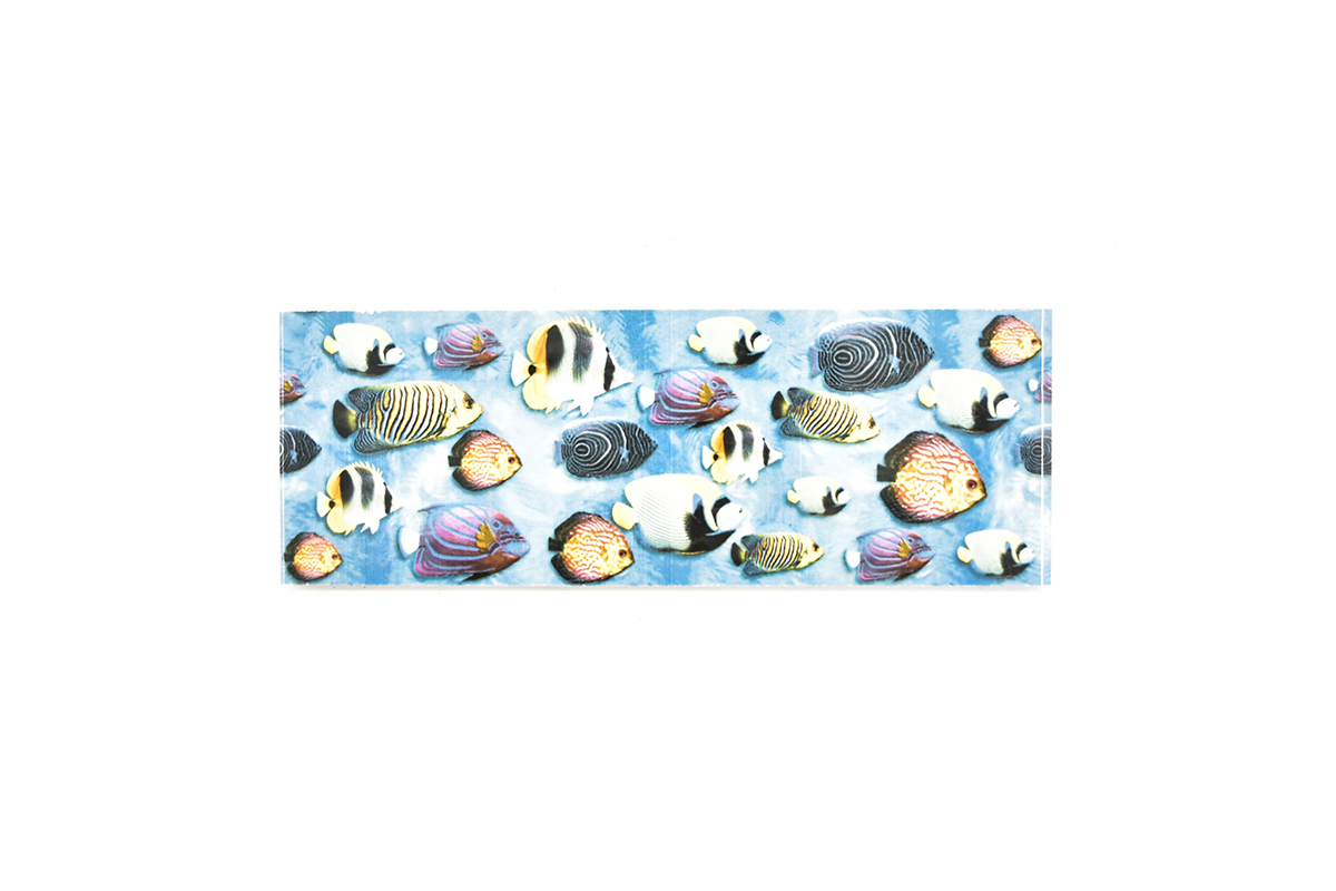 Listel acuario mix 1A 7.3 x 20 cm 