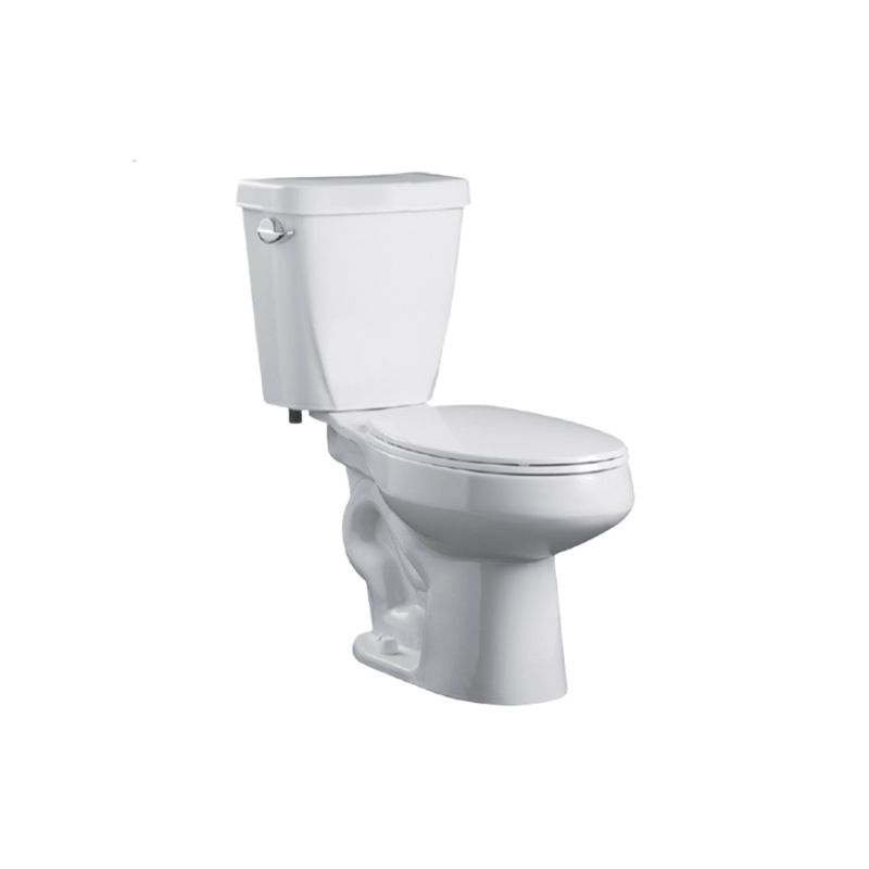 Inodoro alargado Dolphin pro color blanco 