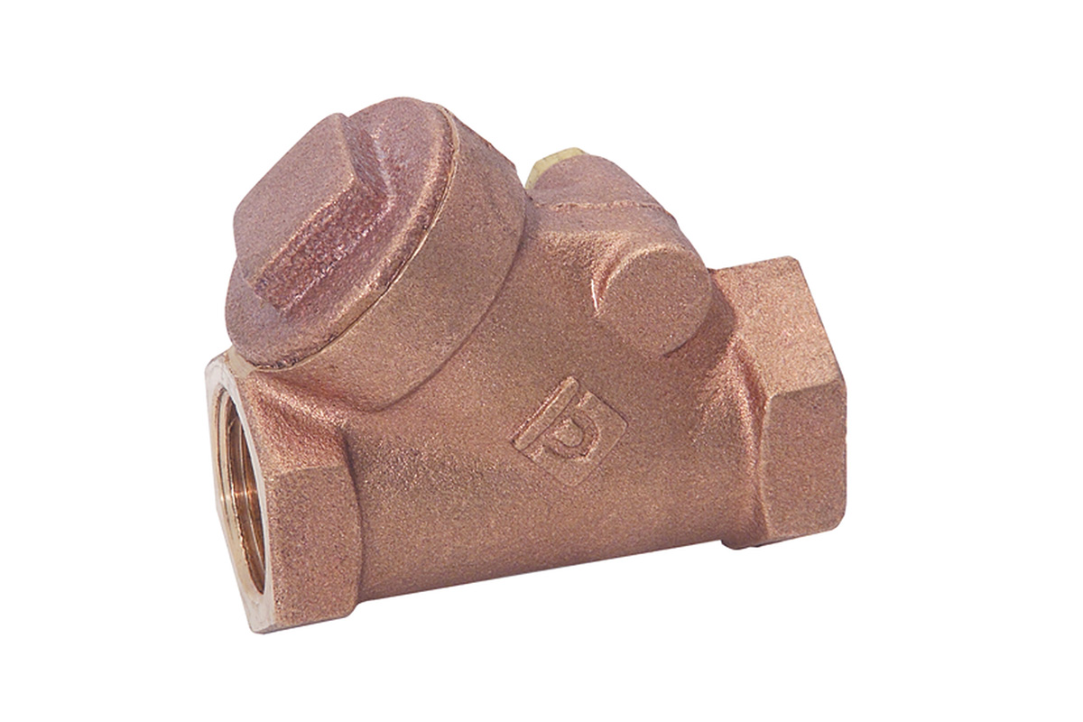 Vlvula check columpio 25 mm (1