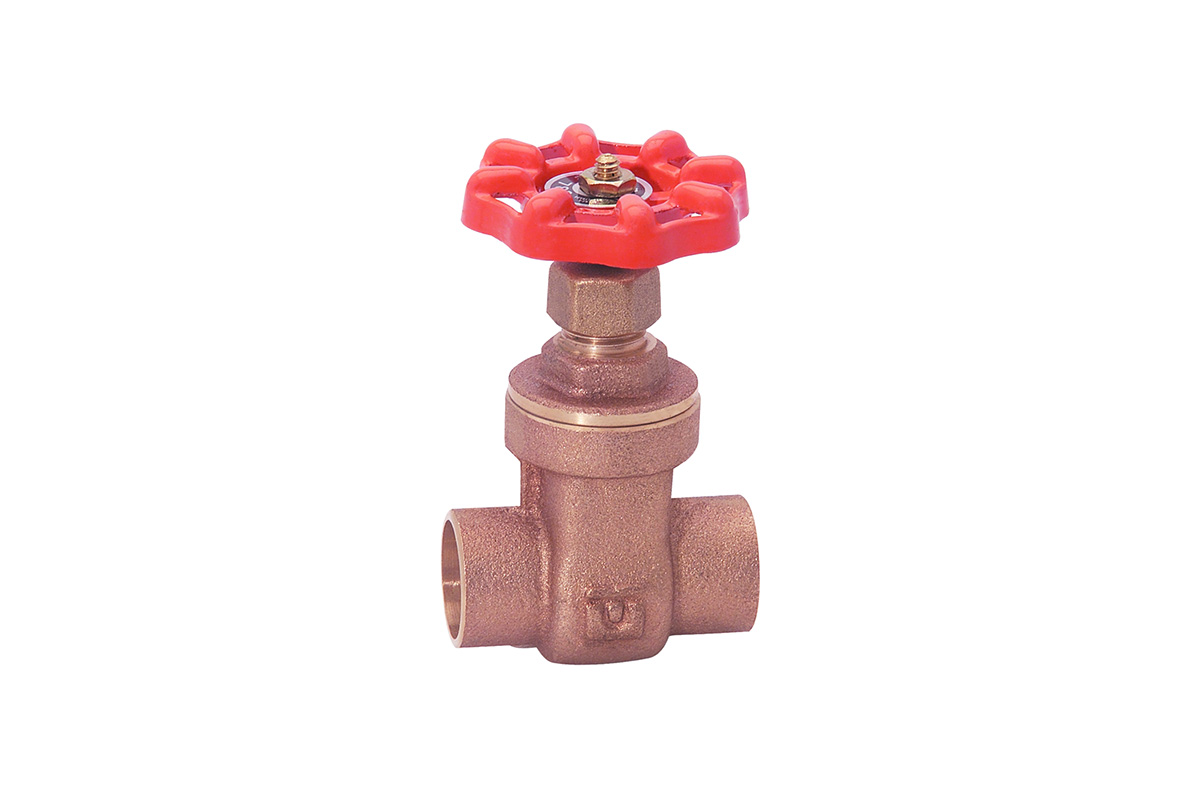 Vlvula compuerta 25 mm (1