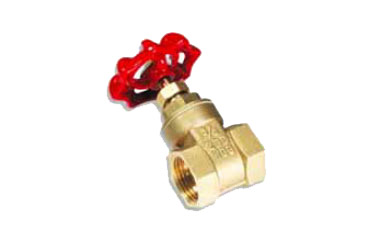 Vlvula de compuerta roscable 3600E-1/2